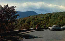 Shenandoah National Park Virginia Postcard Postcard
