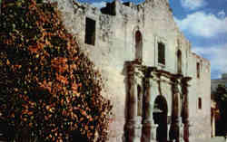 The Alamo San Antonio, TX Postcard Postcard