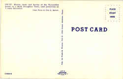 back