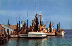 Fishing Boats at Aransas Pass Corpus Christi, TX Postcard Postcard