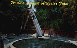 World's Largest Alligator Farm St. Augustine, FL Postcard Postcard