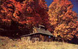 Rustic old Sugarhouse Lower Waterford, VT Postcard Postcard