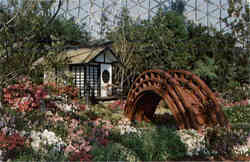 Azalea Show-Japanese Garden Postcard