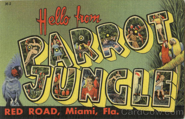 Hello From Parrot Jungle, Red Road Miami Florida