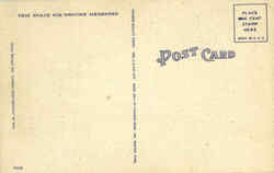 back