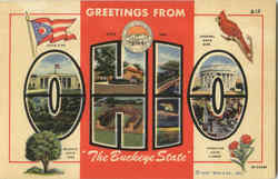 Greetings From Ohio Postcard