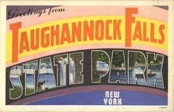 Greetings From Taughannock Falls State Park Postcard