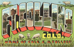Ft. Collins Fort Collins, CO Postcard Postcard