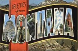 Greetings From Montana Postcard Postcard