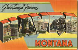 Greetings From Havre Postcard