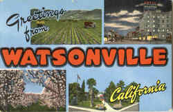 Greetings From Watsonville California Postcard Postcard