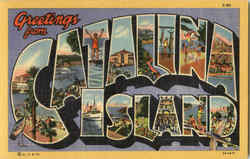 Greetings From Catalina Island Postcard
