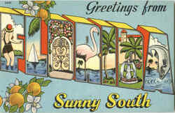 Greetings From Sunny South Florida Postcard Postcard