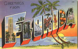 Greetings From Florida Postcard Postcard