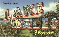 Greetings From Lake Wales Florida Postcard Postcard