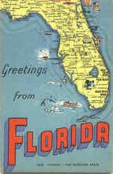 Greetings From Florida Postcard Postcard