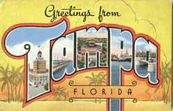 Greetings From Tampa Florida Postcard Postcard