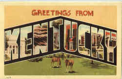 Greetings From Kentucky Postcard Postcard