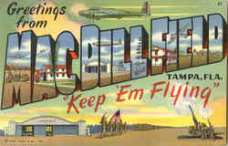 Greetings From Mac Dill Field Postcard