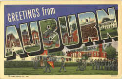 Greetings From Auburn Postcard