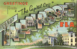 Greetings From Tallahassee Florida Postcard Postcard