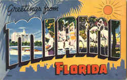 Greetings From Miami Postcard
