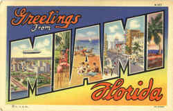 Greetings From Miami Florida Postcard Postcard