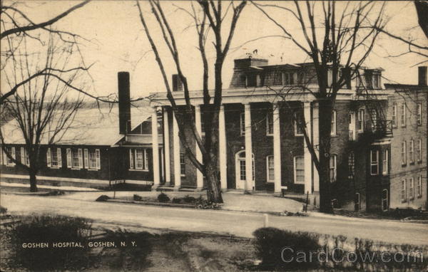 Goshen Hospital New York