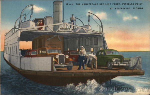 The Manatee St. Petersburg Florida