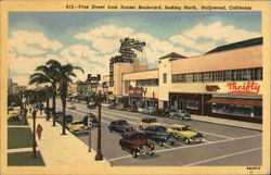 Vine Street from Sunset Boulevard, Looking North Hollywood, CA Postcard Postcard Postcard