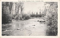 Trout Haven, Couderay River Wisconsin Postcard Postcard Postcard