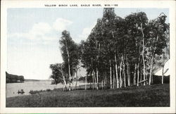 Yellow Birch Lake Postcard