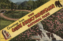 Greetings From the Great Smokey Mountains National Park Great Smoky Mountains National Park, TN Postcard Postcard Postcard