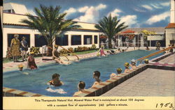 Therapeutic Natural Hot Mineral Water Pool Postcard