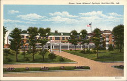 Home Lawn Mineral Springs Postcard