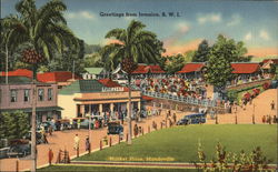 Greetings from Jamaica, B. W. I. Postcard Postcard Postcard