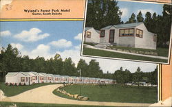 Wyland's Forest Park Motel Custer, SD Postcard Postcard Postcard