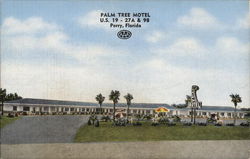 Palm Tree Motel Postcard