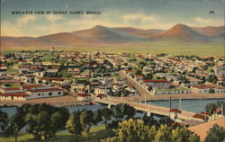 Bird's Eye View of Ciudad Postcard