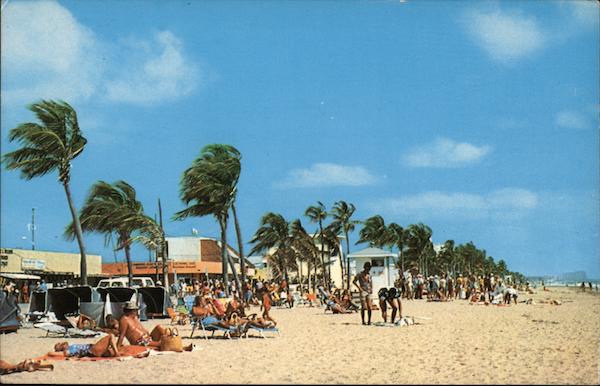 Sun Bathers on Beach Hollywood Beach Florida