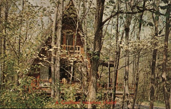 Details about   WV Berkeley Springs FAMILY CAMPING campfire Coolfont c1960s  postcard A88 