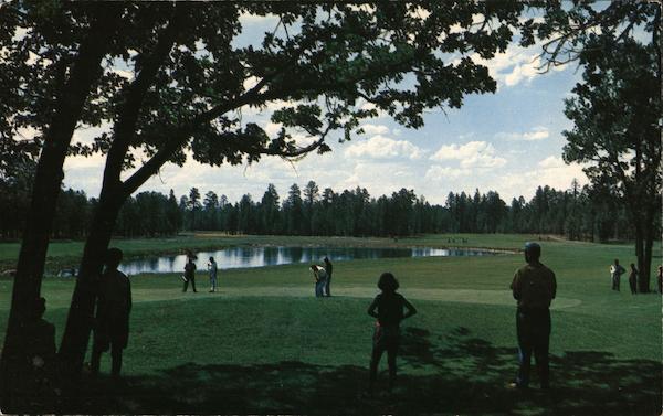 Golfing at White Mountain Country Club McNary Arizona