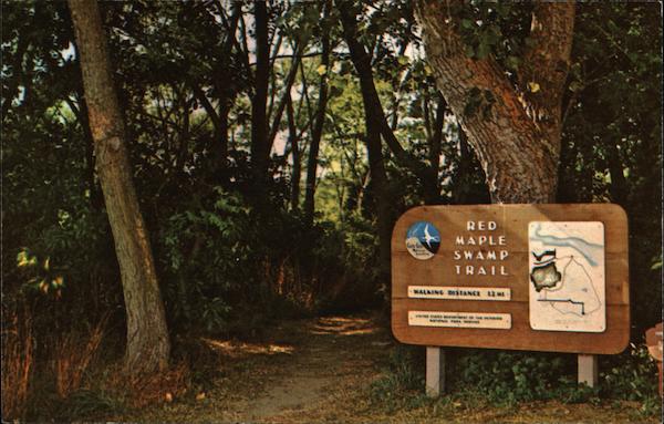 Red Maple Swamp Trail Wellfleet Massachusetts