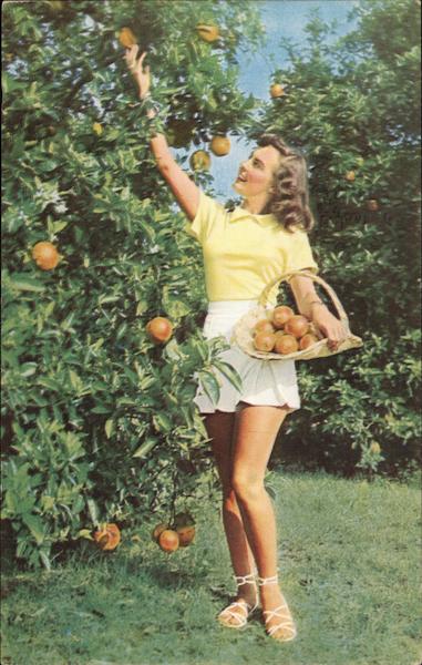 Girl Picking Oranges Waverly Florida
