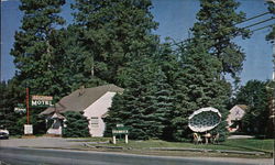 McGarvey's Shamrock Motel Kalispell, MT Postcard Postcard Postcard