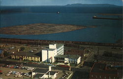 Shoreline Motor Hotel Postcard