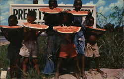 Watermelon Time Down South Black Americana Postcard Postcard Postcard