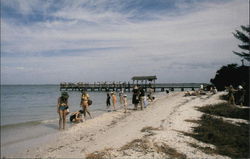 Fishing Pier Sanibel Island, FL Postcard Postcard Postcard