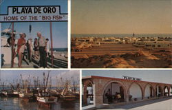 Beautiful Playa de Oro Trailer Park Postcard