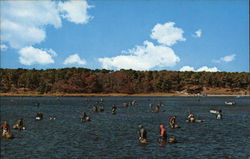 Scalloping Scalloping